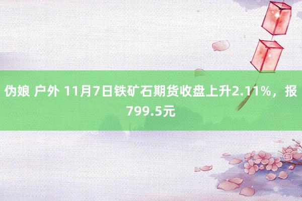 伪娘 户外 11月7日铁矿石期货收盘上升2.11%，报799.5元