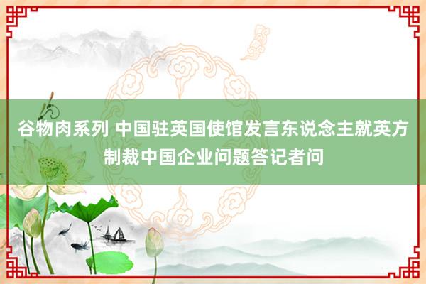 谷物肉系列 中国驻英国使馆发言东说念主就英方制裁中国企业问题答记者问