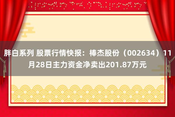 胖白系列 股票行情快报：棒杰股份（002634）11月28日主力资金净卖出201.87万元