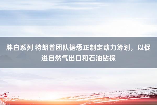 胖白系列 特朗普团队据悉正制定动力筹划，以促进自然气出口和石油钻探