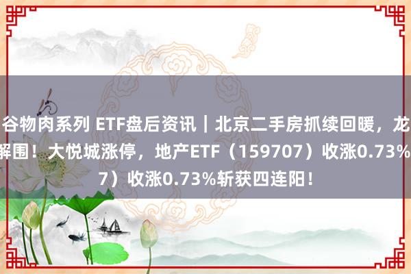 谷物肉系列 ETF盘后资讯｜北京二手房抓续回暖，龙头地产逆市解围！大悦城涨停，地产ETF（159707）收涨0.73%斩获四连阳！