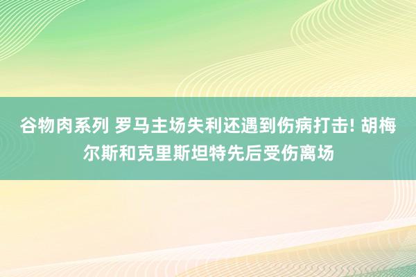 谷物肉系列 罗马主场失利还遇到伤病打击! 胡梅尔斯和克里斯坦特先后受伤离场