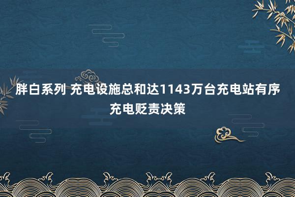 胖白系列 充电设施总和达1143万台充电站有序充电贬责决策