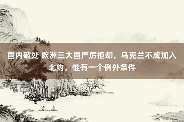 国内破处 欧洲三大国严厉拒却，乌克兰不成加入北约，惟有一个例外条件