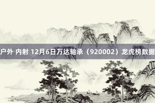 户外 内射 12月6日万达轴承（920002）龙虎榜数据