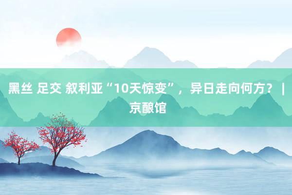 黑丝 足交 叙利亚“10天惊变”，异日走向何方？ | 京酿馆