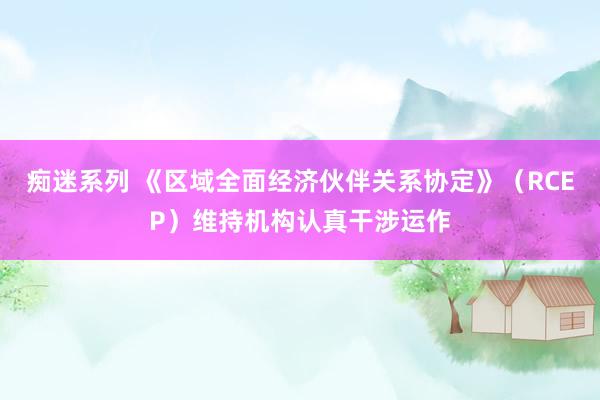 痴迷系列 《区域全面经济伙伴关系协定》（RCEP）维持机构认真干涉运作