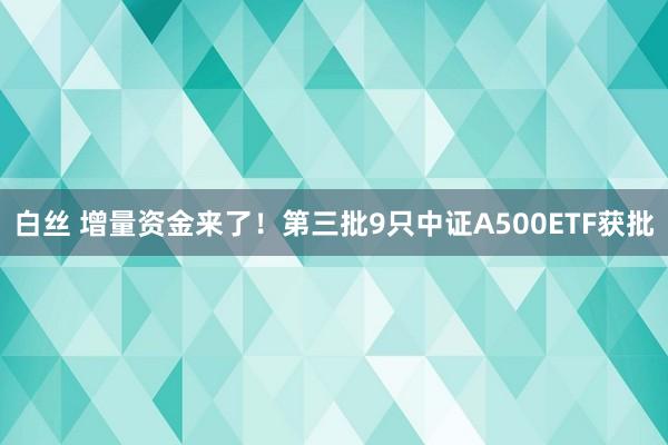 白丝 增量资金来了！第三批9只中证A500ETF获批