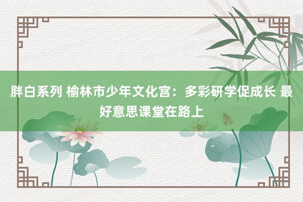 胖白系列 榆林市少年文化宫：多彩研学促成长 最好意思课堂在路上