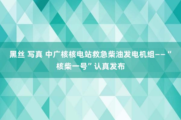 黑丝 写真 中广核核电站救急柴油发电机组——“核柴一号”认真发布