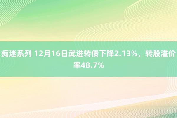 痴迷系列 12月16日武进转债下降2.13%，转股溢价率48.7%