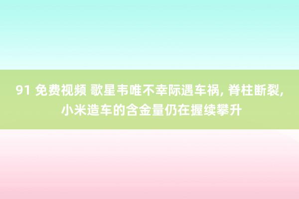 91 免费视频 歌星韦唯不幸际遇车祸， 脊柱断裂， 小米造车的含金量仍在握续攀升