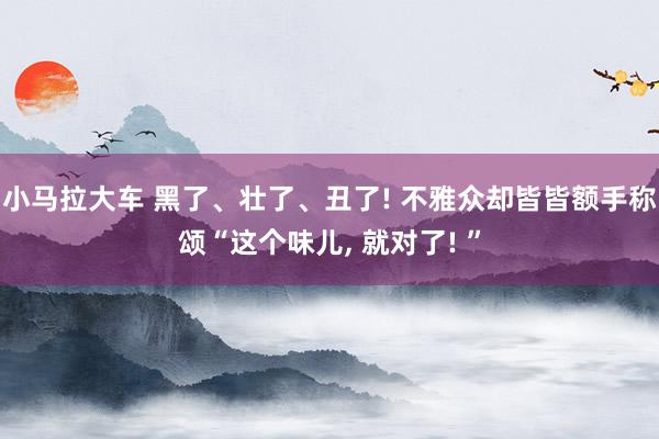 小马拉大车 黑了、壮了、丑了! 不雅众却皆皆额手称颂“这个味儿， 就对了! ”