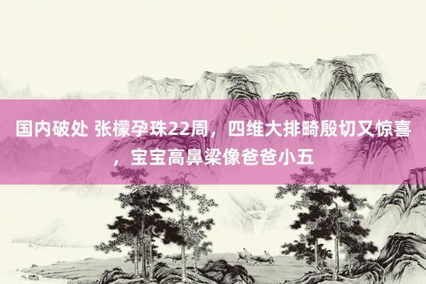 国内破处 张檬孕珠22周，四维大排畸殷切又惊喜，宝宝高鼻梁像爸爸小五