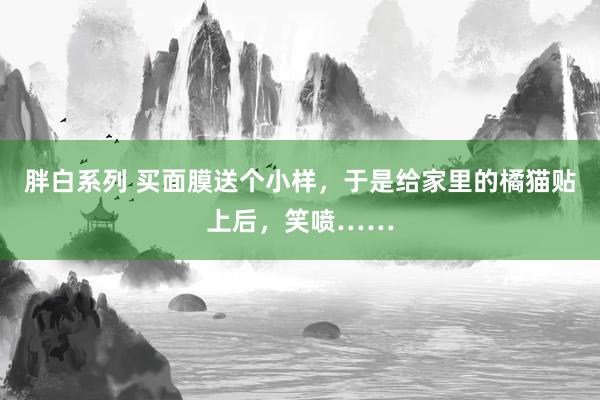 胖白系列 买面膜送个小样，于是给家里的橘猫贴上后，笑喷……