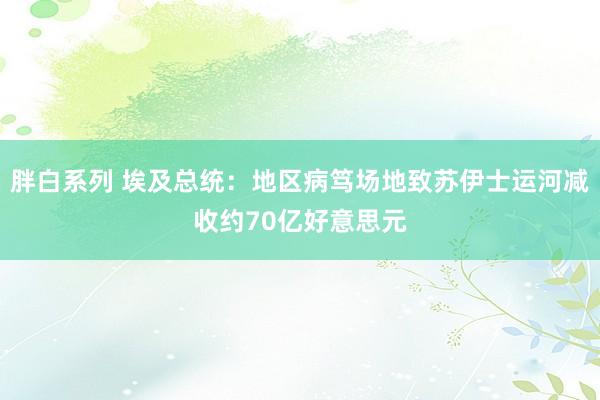 胖白系列 埃及总统：地区病笃场地致苏伊士运河减收约70亿好意思元