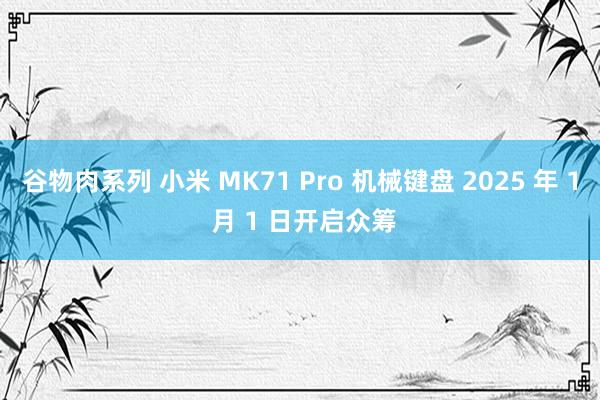 谷物肉系列 小米 MK71 Pro 机械键盘 2025 年 1 月 1 日开启众筹