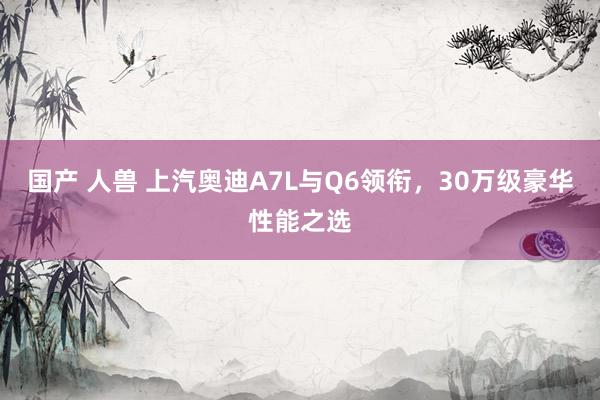 国产 人兽 上汽奥迪A7L与Q6领衔，30万级豪华性能之选