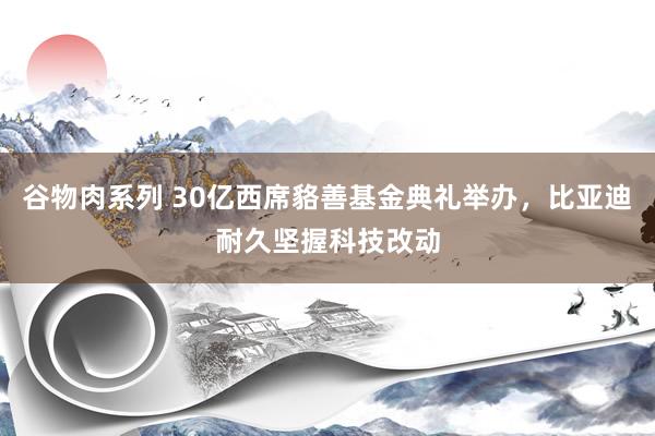 谷物肉系列 30亿西席貉善基金典礼举办，比亚迪耐久坚握科技改动