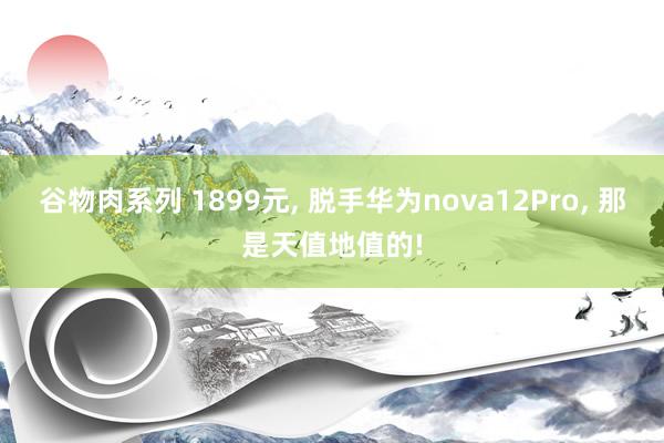 谷物肉系列 1899元， 脱手华为nova12Pro， 那是天值地值的!