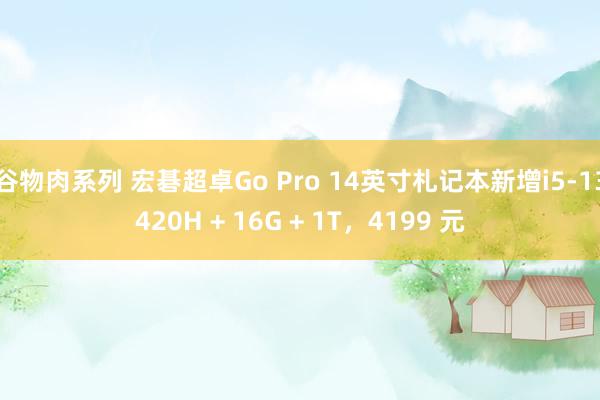 谷物肉系列 宏碁超卓Go Pro 14英寸札记本新增i5-13420H + 16G + 1T，4199 元