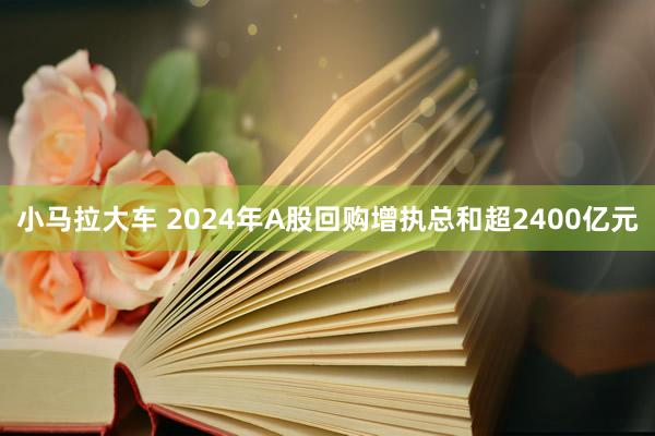 小马拉大车 2024年A股回购增执总和超2400亿元