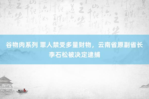 谷物肉系列 罪人禁受多量财物，云南省原副省长李石松被决定逮捕