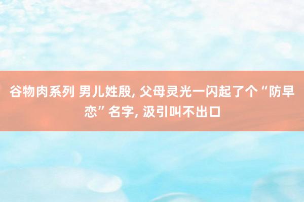 谷物肉系列 男儿姓殷， 父母灵光一闪起了个“防早恋”名字， 汲引叫不出口