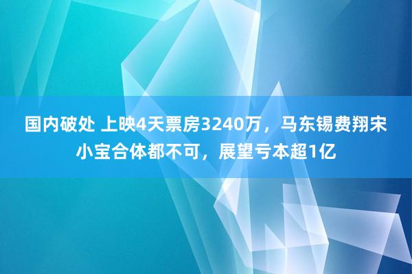 国内破处 上映4天票房3240万，马东锡费翔宋小宝合体都不可，展望亏本超1亿