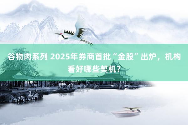 谷物肉系列 2025年券商首批“金股”出炉，机构看好哪些契机？