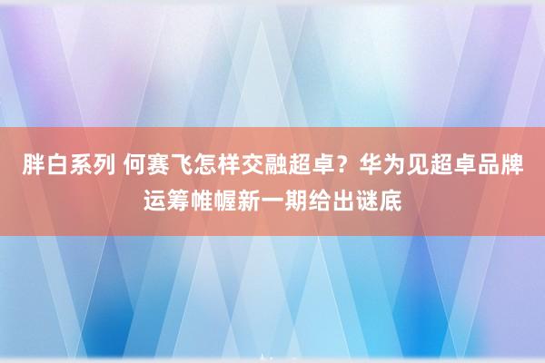 胖白系列 何赛飞怎样交融超卓？华为见超卓品牌运筹帷幄新一期给出谜底