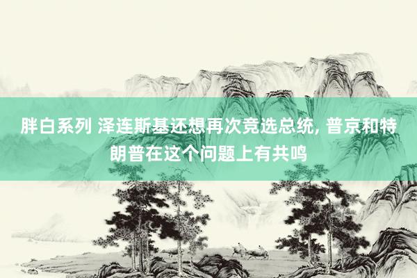 胖白系列 泽连斯基还想再次竞选总统， 普京和特朗普在这个问题上有共鸣