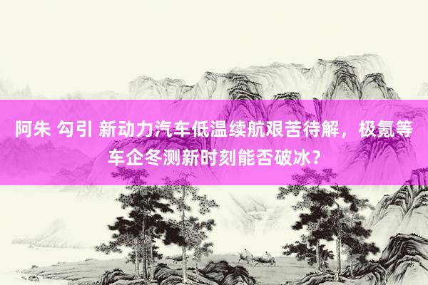 阿朱 勾引 新动力汽车低温续航艰苦待解，极氪等车企冬测新时刻能否破冰？