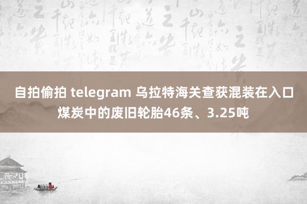 自拍偷拍 telegram 乌拉特海关查获混装在入口煤炭中的废旧轮胎46条、3.25吨