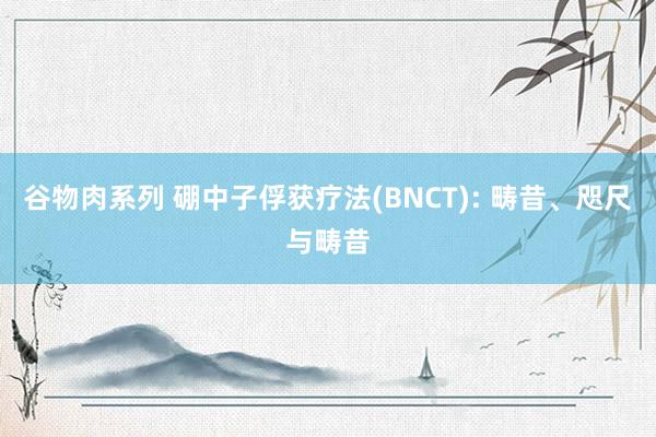 谷物肉系列 硼中子俘获疗法(BNCT): 畴昔、咫尺与畴昔