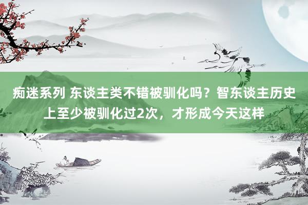 痴迷系列 东谈主类不错被驯化吗？智东谈主历史上至少被驯化过2次，才形成今天这样