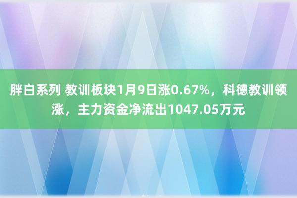 胖白系列 教训板块1月9日涨0.67%，科德教训领涨，主力资金净流出1047.05万元