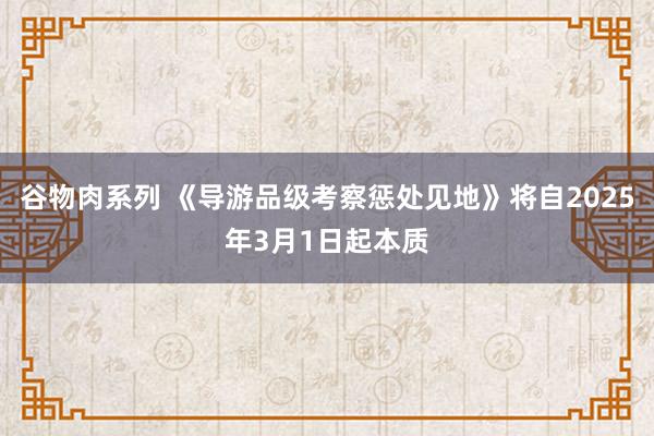 谷物肉系列 《导游品级考察惩处见地》将自2025年3月1日起本质