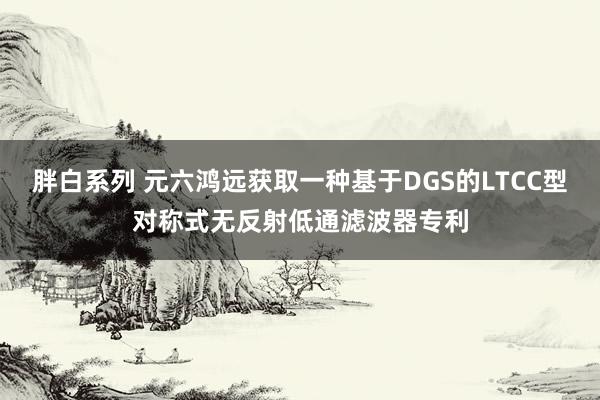 胖白系列 元六鸿远获取一种基于DGS的LTCC型对称式无反射低通滤波器专利