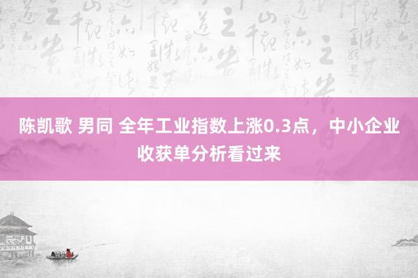 陈凯歌 男同 全年工业指数上涨0.3点，中小企业收获单分析看过来