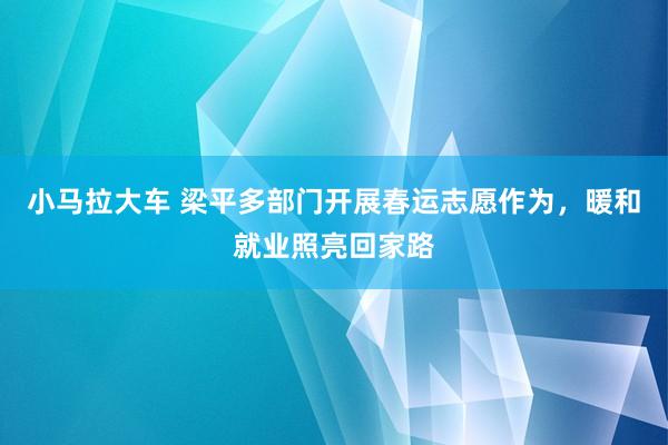 小马拉大车 梁平多部门开展春运志愿作为，暖和就业照亮回家路