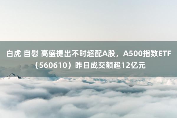 白虎 自慰 高盛提出不时超配A股，A500指数ETF（560610）昨日成交额超12亿元