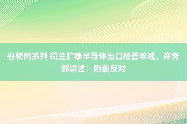 谷物肉系列 荷兰扩泰半导体出口经管畛域，商务部讲述：刚毅反对