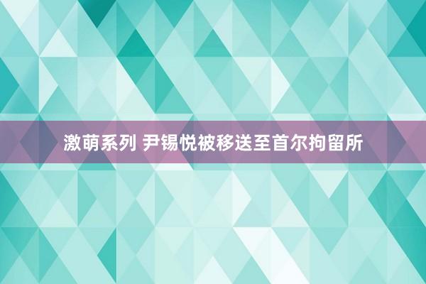 激萌系列 尹锡悦被移送至首尔拘留所