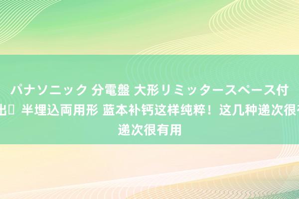 パナソニック 分電盤 大形リミッタースペース付 露出・半埋込両用形 蓝本补钙这样纯粹！这几种递次很有用